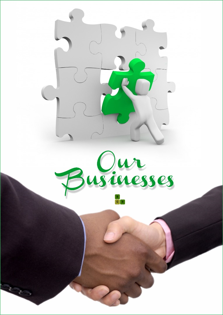 Our Businesses