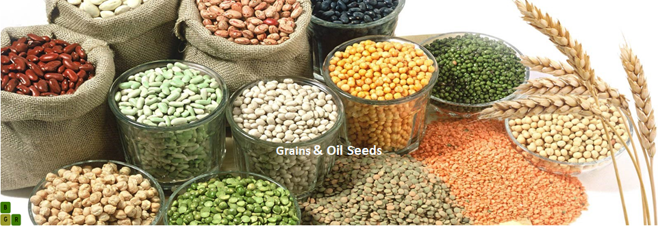 Grains & Seeds Image